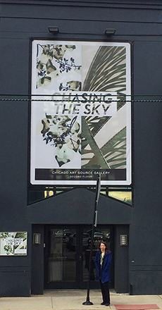 Jennifer Falck Linssen :: Chicago Art Source Gallery banner